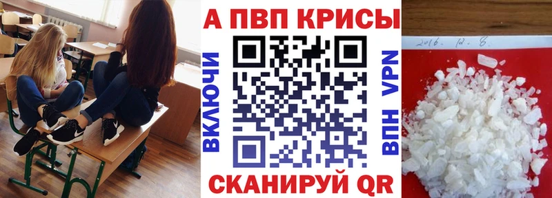 A PVP СК КРИС  Балашиха 