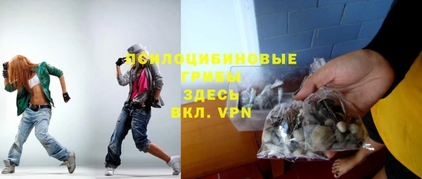 apvp Мегион