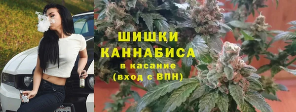 apvp Мегион