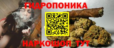 индика Аргун