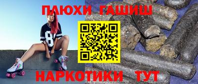 индика Аргун