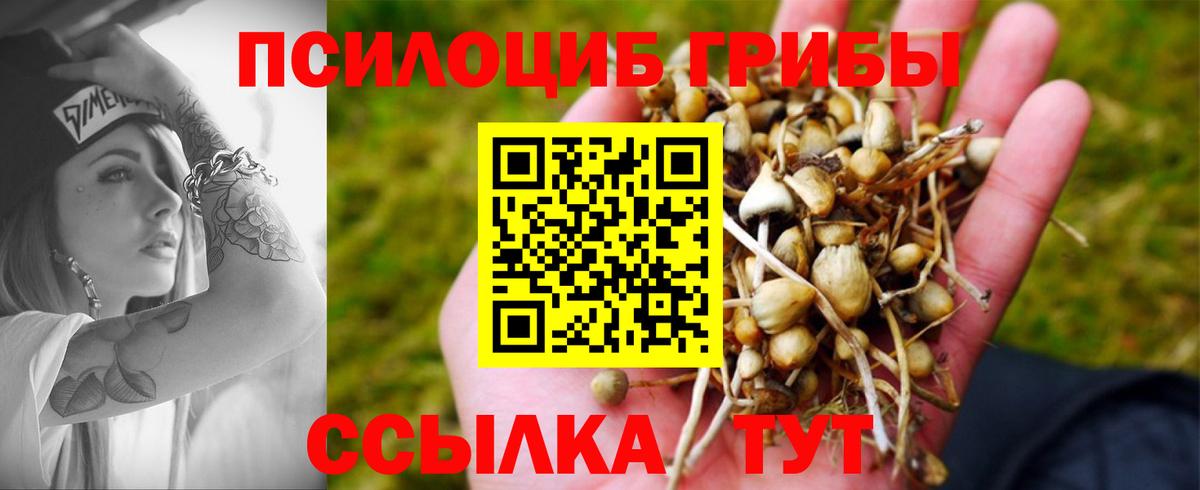 Псилоцибиновые грибы Cubensis Балашиха