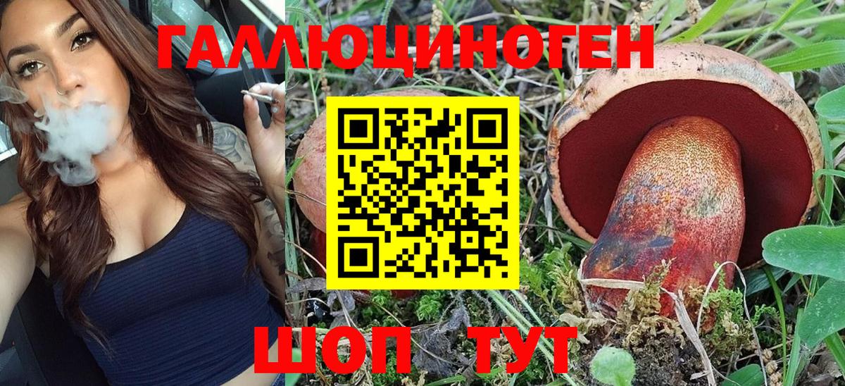Галлюциногенные грибы Cubensis Балашиха